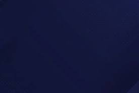 你在执行计划吗？（你在按计划行动吗？）